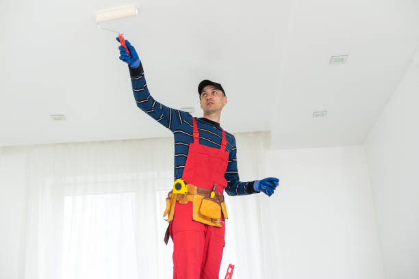 Best Drywall Removal and Disposal  in Marlboro Meadows, MD